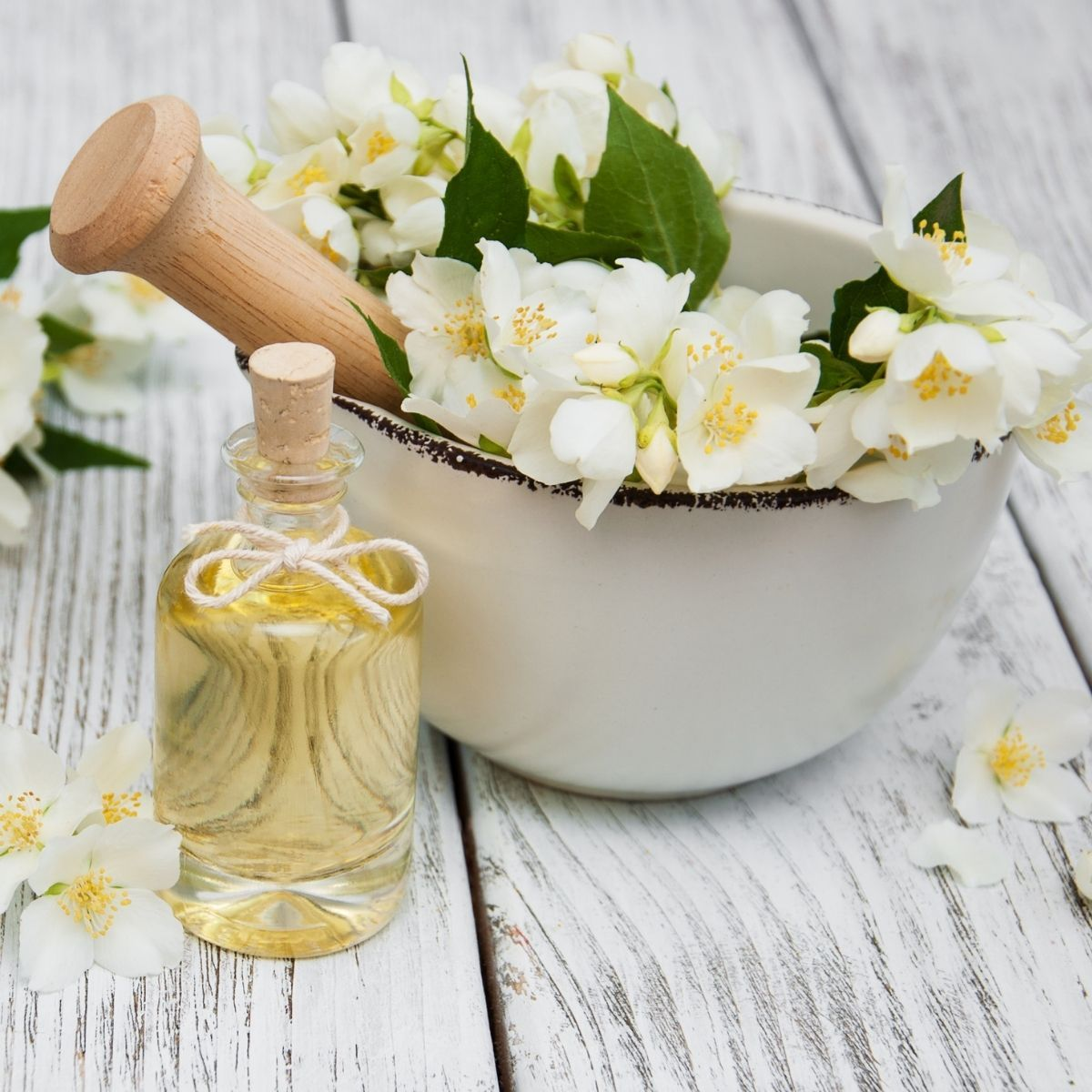 Dòng dầu gội hương hoa nhài, thiết kế chuyên biệt cho trải nghiệm Spa và Gội đầu dưỡng sinh.
